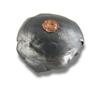 CCI Maxi-Mag .22 WMR 40-Grain Ammunition - 50 Rounds