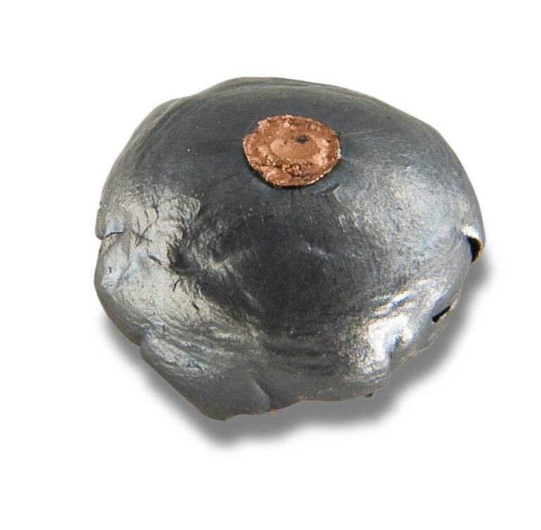CCI Maxi-Mag .22 WMR 40-Grain Ammunition - 50 Rounds