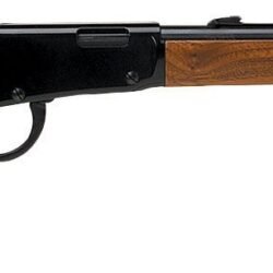 Best Henry .22 Lever-Action Repeating Rifle
