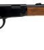 Best Henry .22 Lever-Action Repeating Rifle
