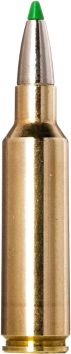 Norma USA Ecostrike .300 WSM 165-Grain Rifle Ammunition - 20 Rounds