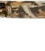 Tristar Products Viper G2 Camo 20 Gauge Semiautomatic Shotgun