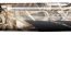 Weatherby Element Waterfowl Realtree Max-5 12 Gauge Semiautomatic Shotgun