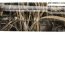 Winchester SX4 Waterfowl Hunter Realtree Max 7 `12 Gauge Shotgun